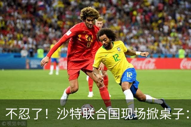 不忍了！沙特联合国现场掀桌子：有人边喊停战，边给胡塞送装备