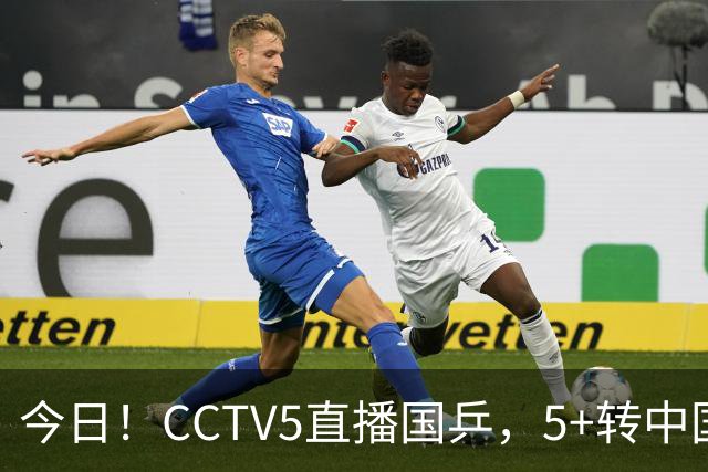 今日！CCTV5直播国乒，5+转中国男篮，网络转中超大连英博+中甲鲲城+中乙可为等