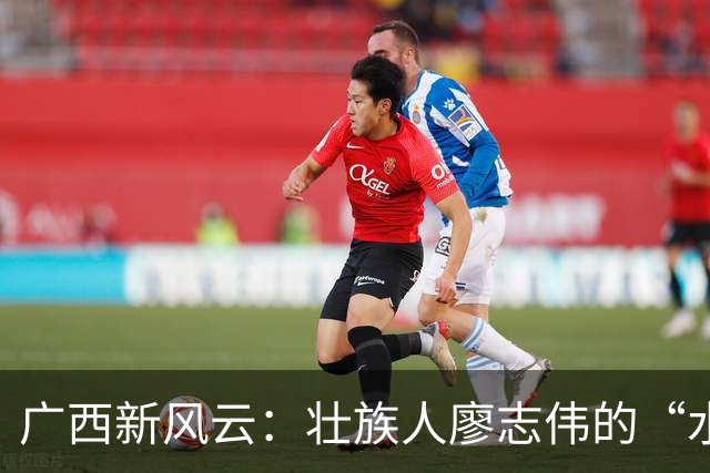 广西新风云：壮族人廖志伟的“水利奇遇记